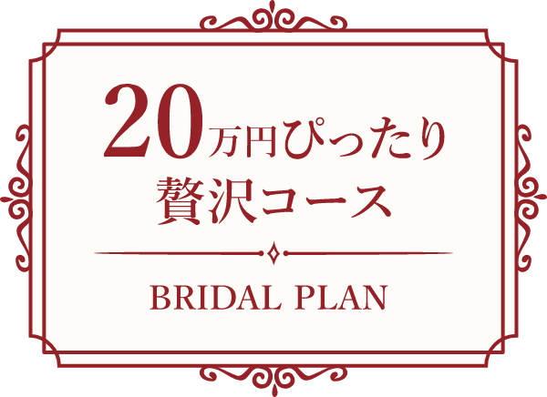 20万円ぴったり贅沢コース