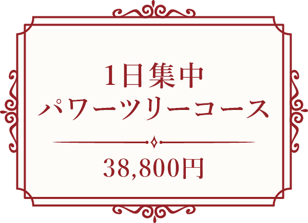 1日集中パワーツリーコース
