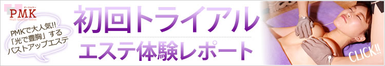 トライアルレポート