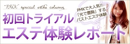 トライアルレポート