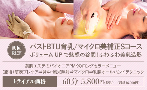 バストBTU育乳/マイクロ美補正Sコース