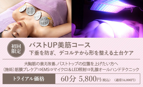 バストUP美筋コース